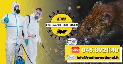 Derattizzazioni Mantova: Disinfestazione Topi Mantova