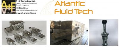 offerta bd000081atlantic fluid tech excavators valve