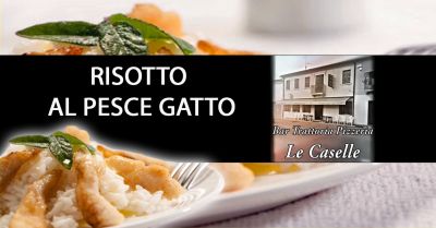  offerta mangiare risotto con il pesce gatto vicenza occasione tipico risotto di pesce gatto