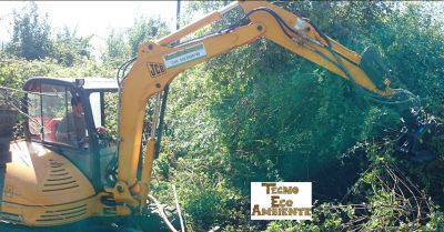 offerta potatura e abbattimenti in tree climbing toscana tecno eco ambiente