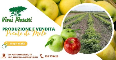 azienda specializzata produzione piante di melo emilia romagna