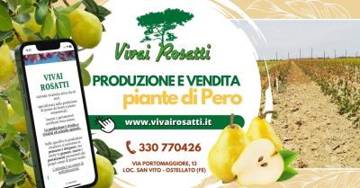 produzione e vendita piante di pero