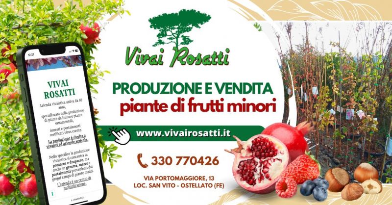 Produzione propria di piante frutti minori