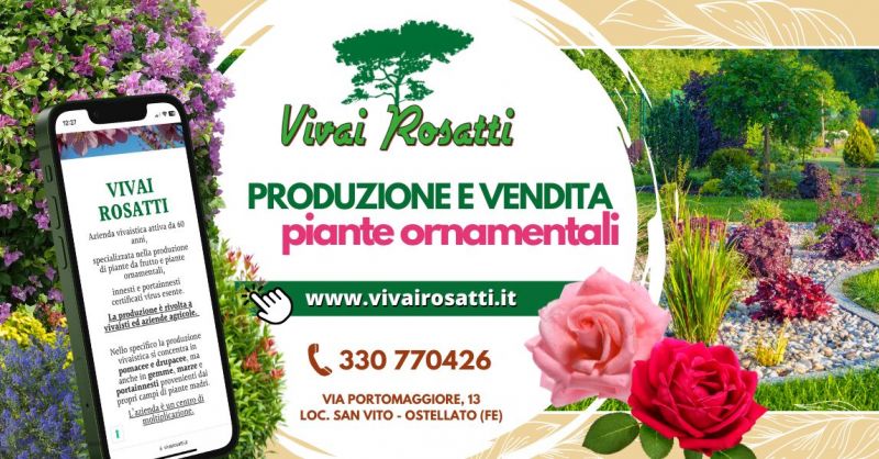 produzione e vendita piante ornamentali da esterno