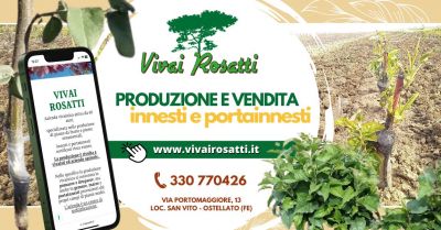 innesti e portainnesti produzione propria