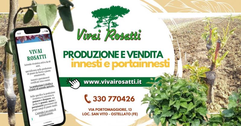 Innesti e portainnesti produzione propria