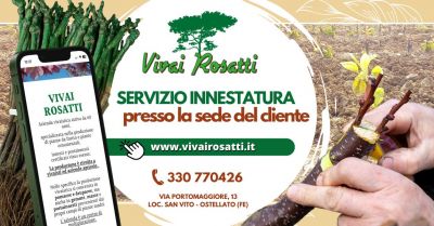 servizio innestatura piante a domicilio