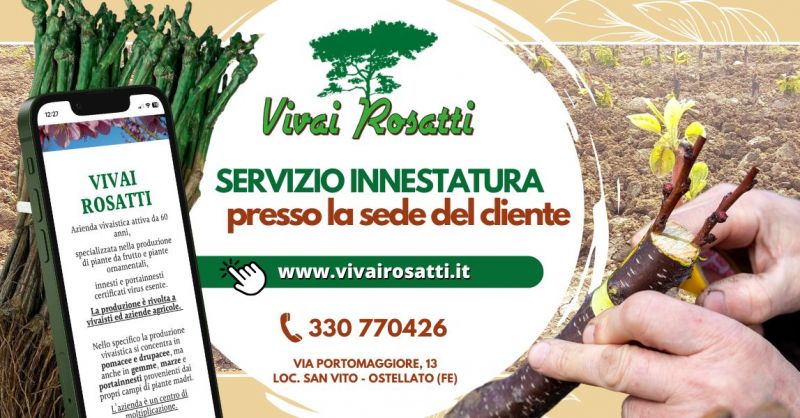 Servizio innestatura piante a domicilio