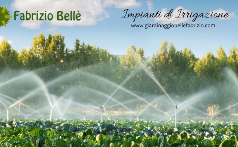 a chi rivolgerti per impianti di irrigazione efficienti