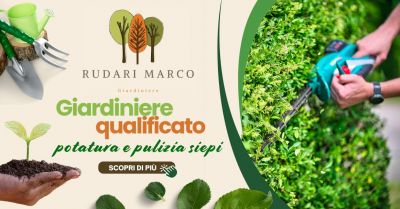 giardiniere professionale servizio taglio siepe