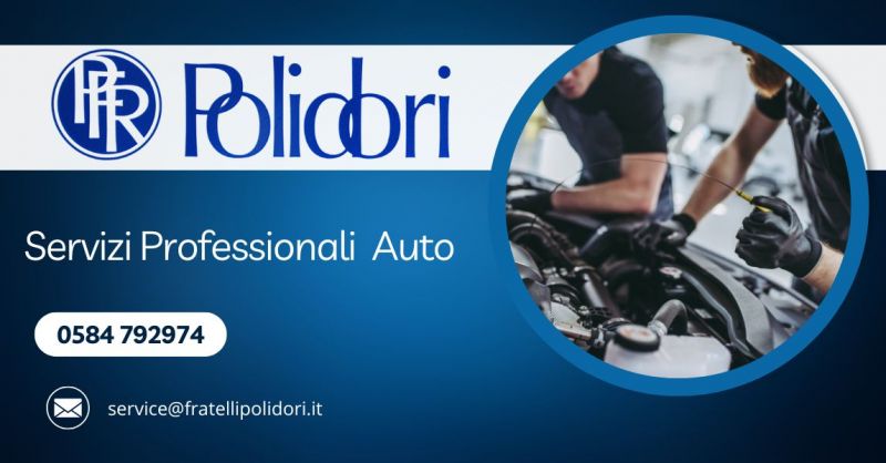 autofficina servizi professionali in Versilia