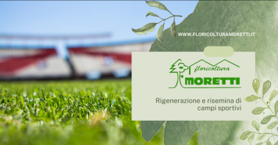 offerta servizio rigenerazione e risemina campo sportivo azienda specializzata