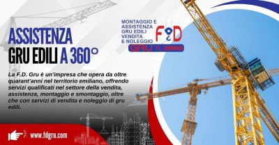 azienda specializzata assistenza tecnica gru edili