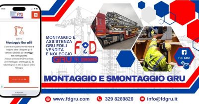 azienda montaggio gru