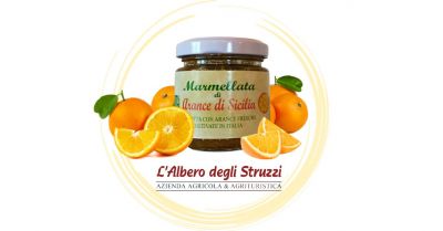  offerta marmellata con arance di sicilia 100 gr acquisto shop online