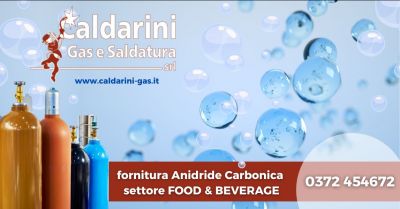 fornitura anidride carbonica settore food beverage