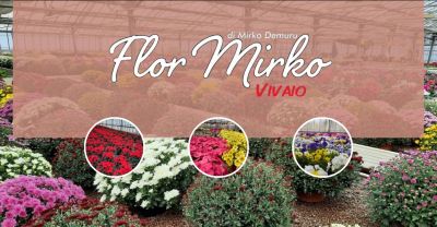  vivaio fiori e piante a borore