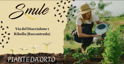 offerta vasto assortimento piante da orto disponibili in base alla stagione