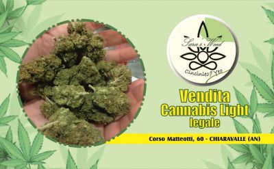  vendita prodotti al cannabidiolo cbd