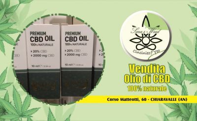 vendita olio di cbd