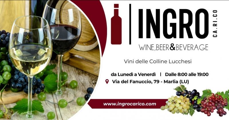 dove acquistare i vini delle colline lucchesi