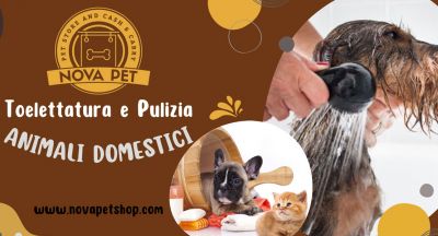 pulizia professionale e toelettatura di animali domestici