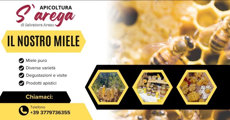 Produzione miele e prodotti apistici a Lanusei in Ogliastra