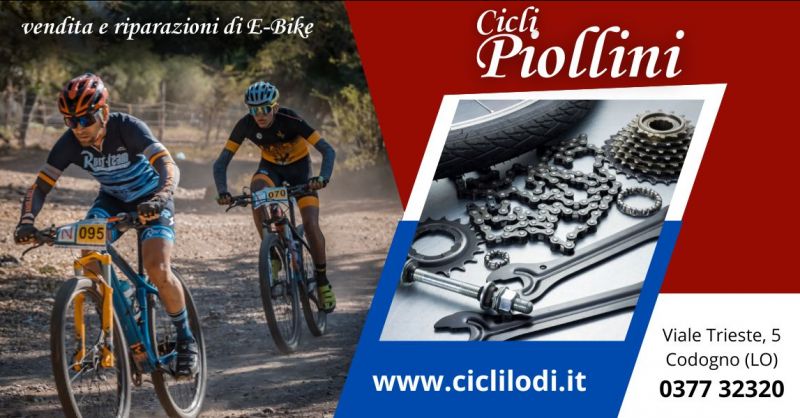 vendita e riparazioni di e bike officina specializzata