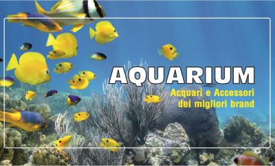 pesci tropicali acqua dolce per acquario